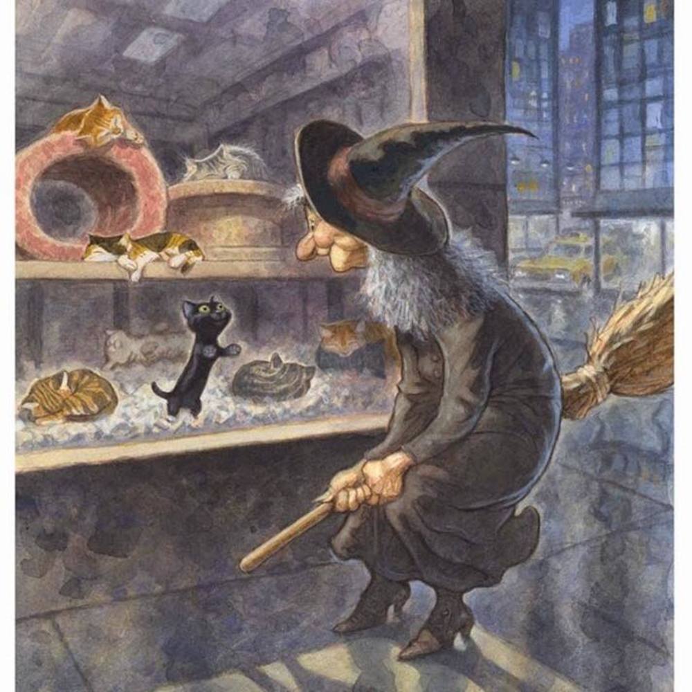 Meet your Posher, Susan